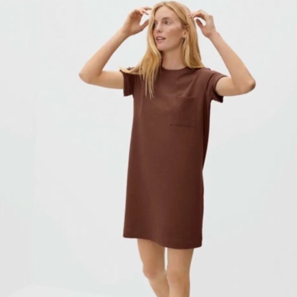 Everlane Brown T-Shirt Dress